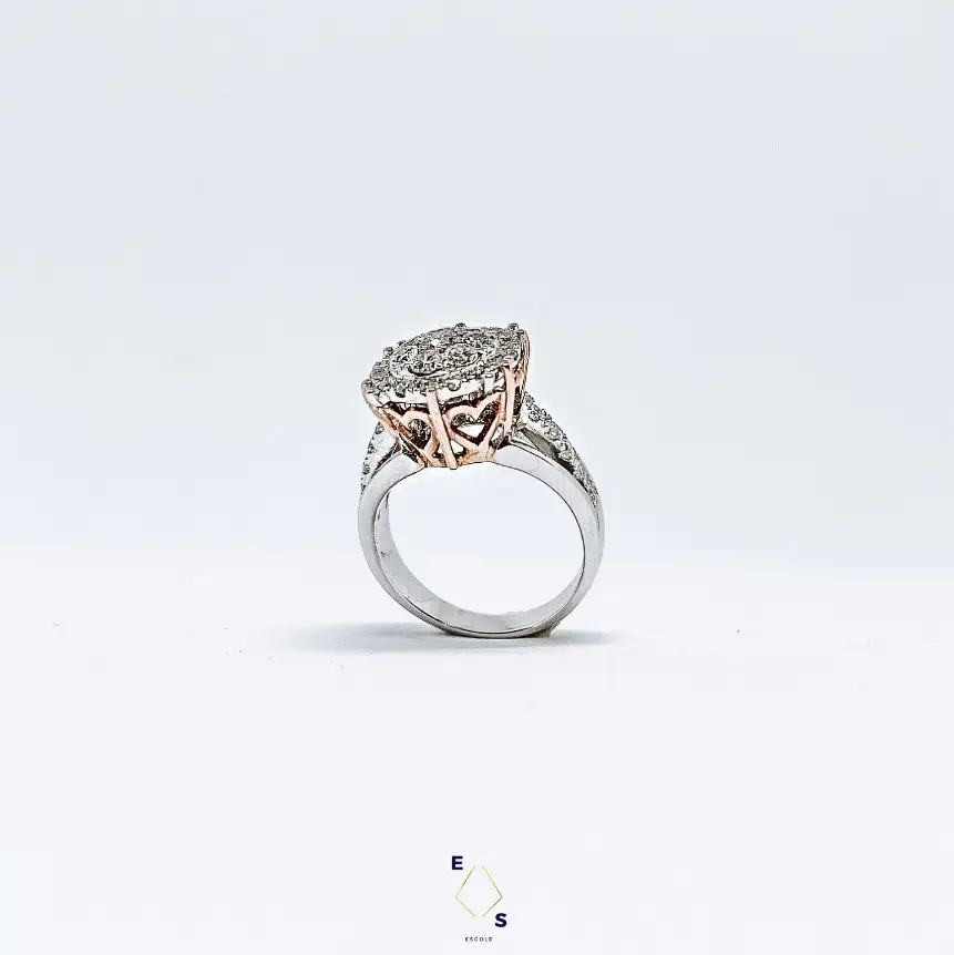 WhatsApp Image 2025-06-27 at 13.52.15